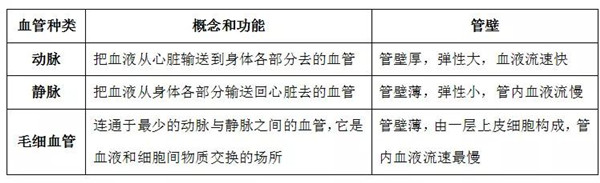 事业单位考试常识类知识点 血液循环系统